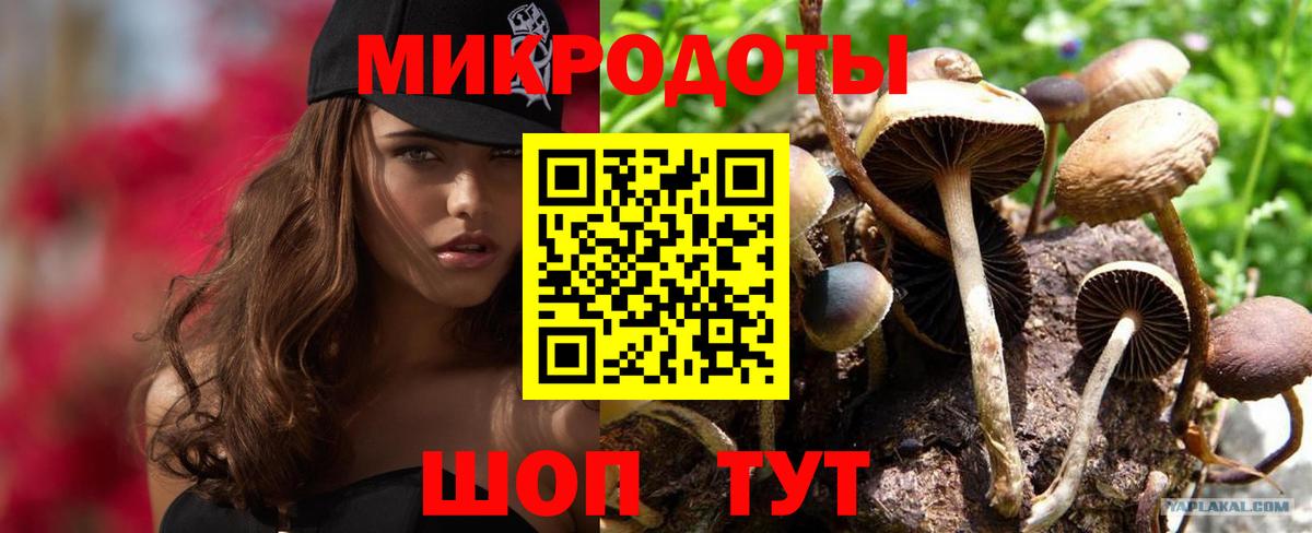 Псилоцибиновые грибы Psilocybe  Вход с VPN  как найти наркотики  Ростов Великий 