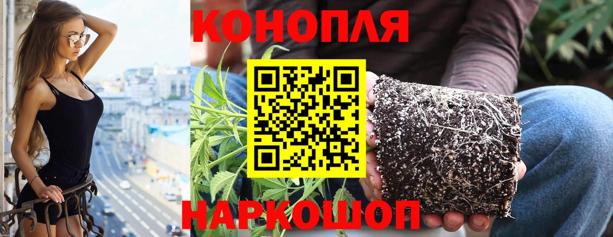 Канабис VHQ Ростов Великий